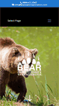 Mobile Screenshot of bearwaterrestoration.com